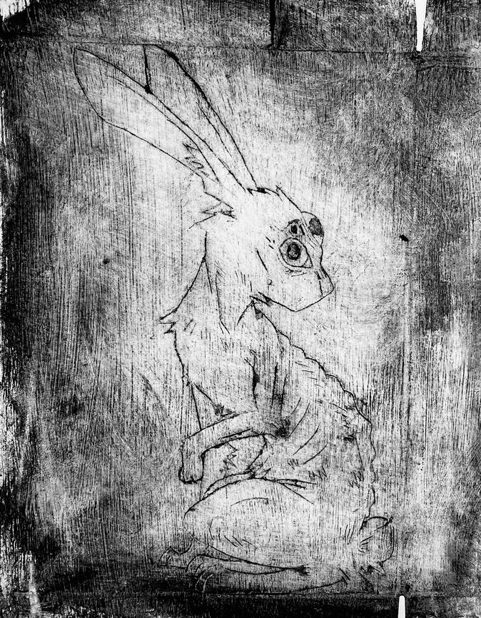 The Creature In My Backyard, 2025 The Creature In My Backyard, 2025